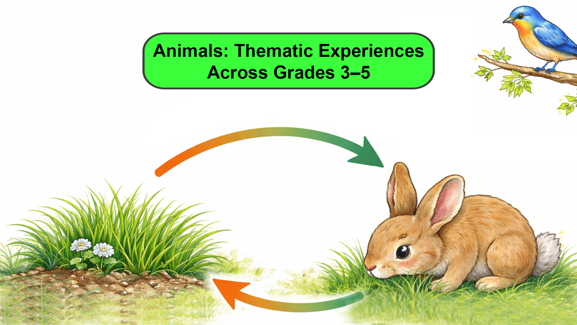 Animals: Thematic Experiences Across Grades 3-5 BTEVEATE-V1